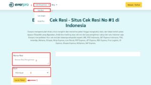 cara cek resi tiki