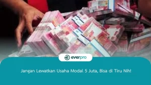 Everpro