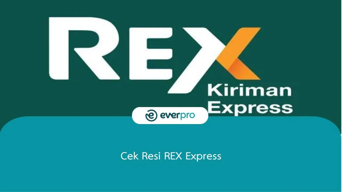 cek resi rex express