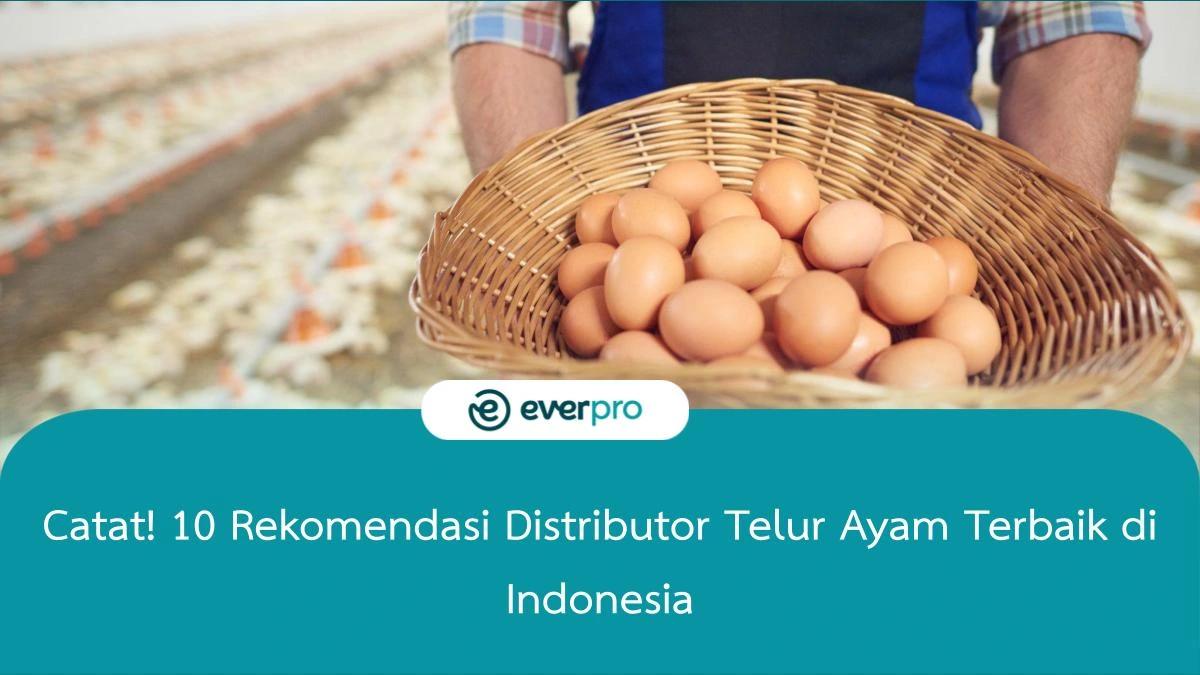 Catat! 10 Rekomendasi Distributor Telur Ayam Terbaik di Indonesia Everpro