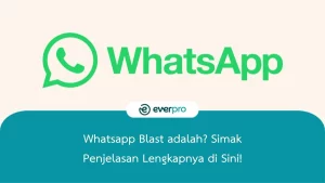 whatsapp blast adalah