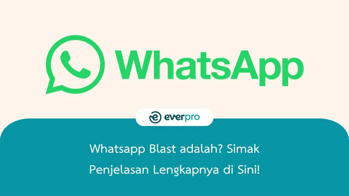 whatsapp blast adalah