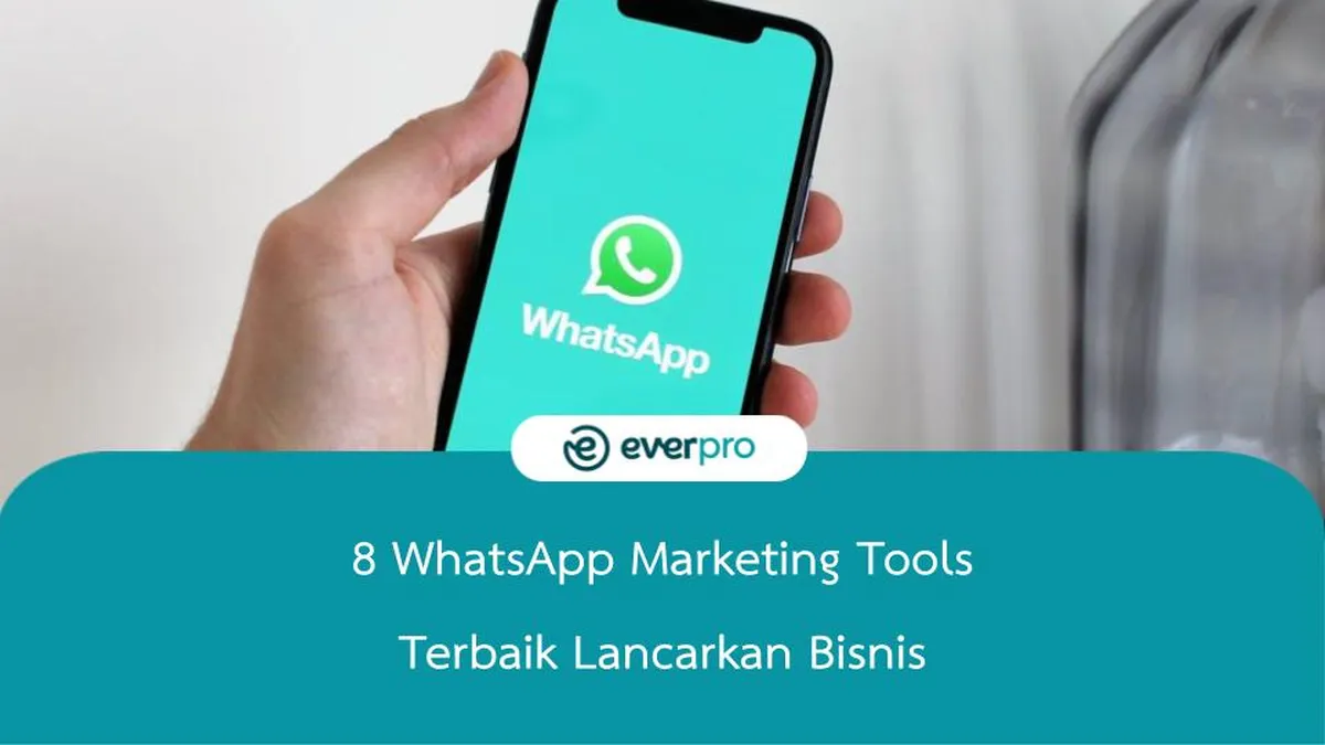 whatsapp marketing tools