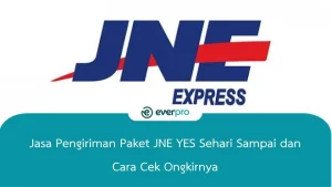 jnes yes