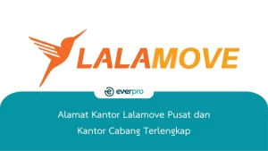 Everpro