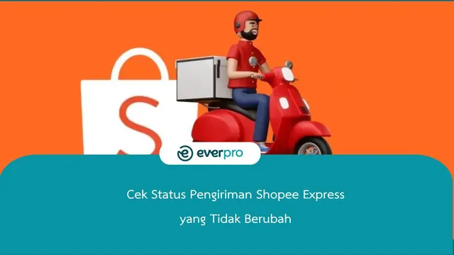 Cara Cek Status Pengiriman Shopee Express, Gampang Banget! - Everpro