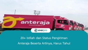 Everpro