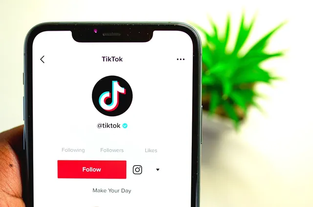 Bio TikTok Aesthetic