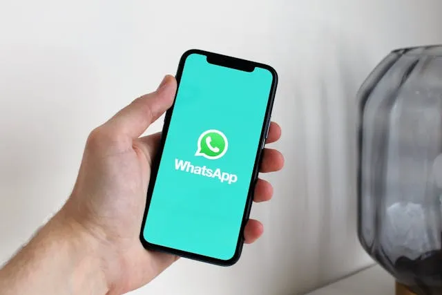 cara backup whatsapp business