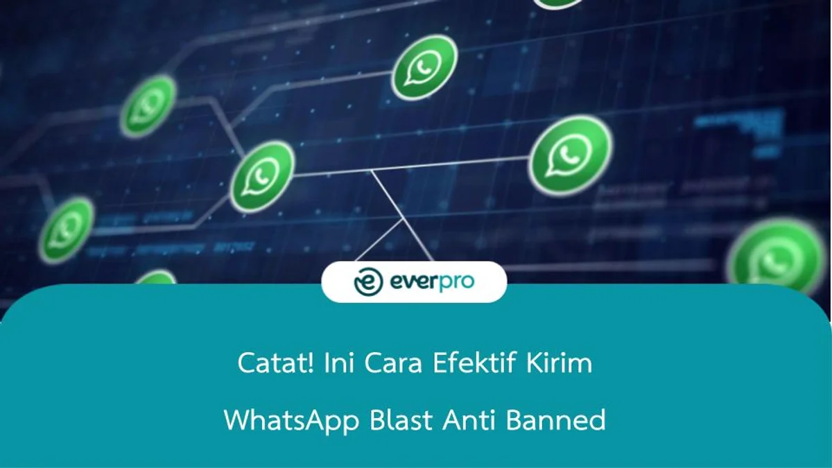 Catat! Ini Cara Efektif Kirim WhatsApp Blast Anti Banned