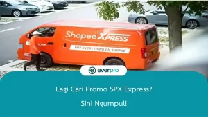 Everpro