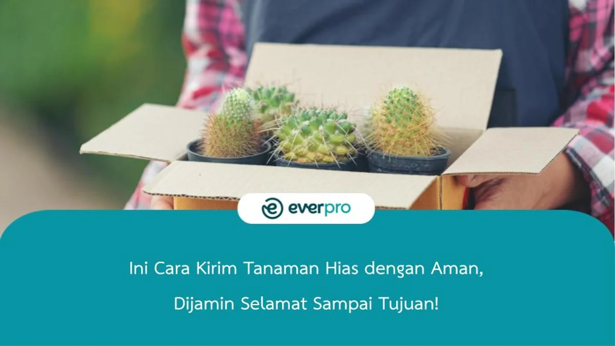 Ini Cara Kirim Tanaman Hias dengan Aman, Dijamin Selamat Sampai Tujuan!