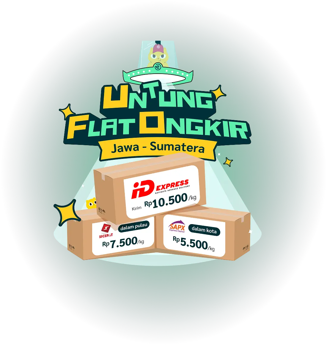 flat ongkir everpro