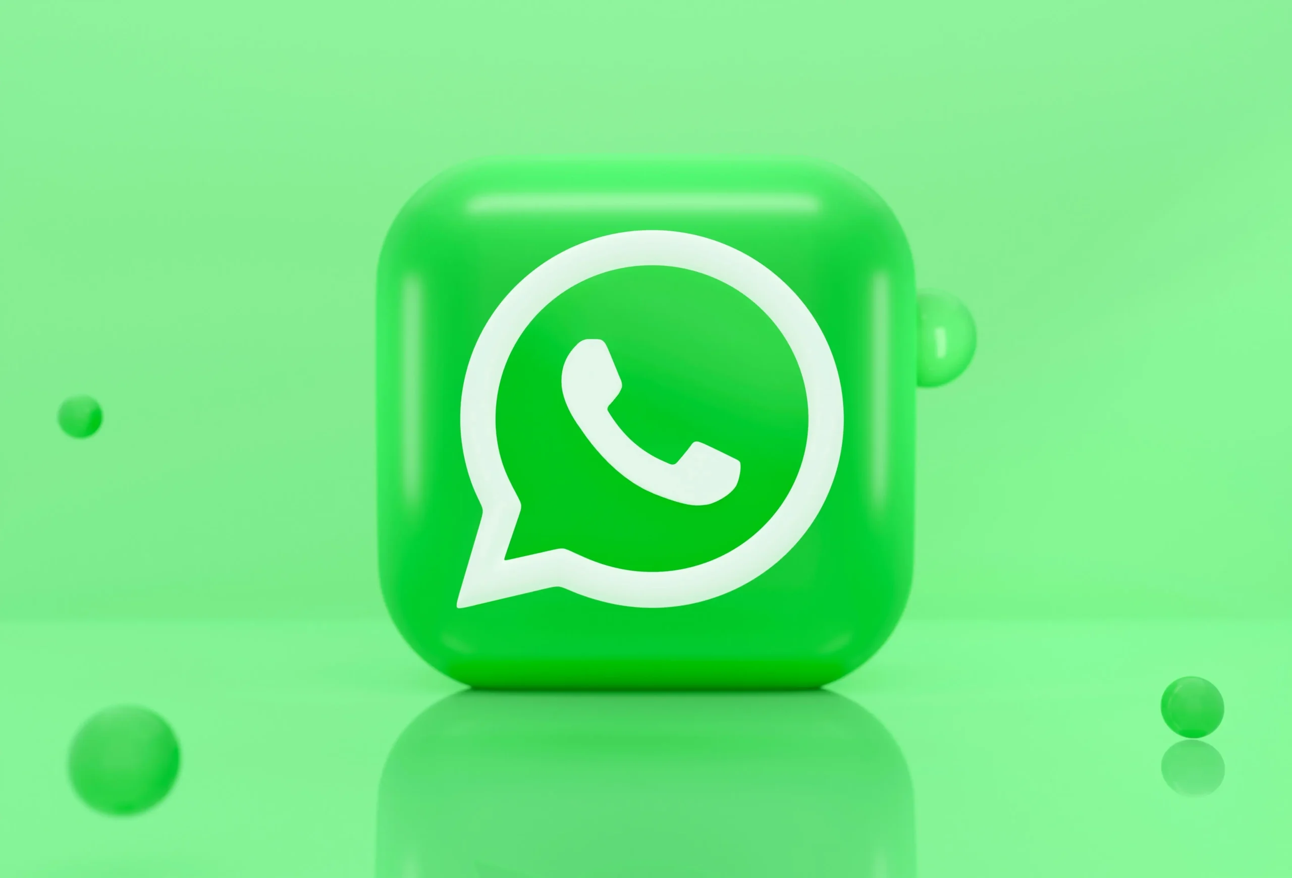 Fakta Penting Harga WhatsApp Business