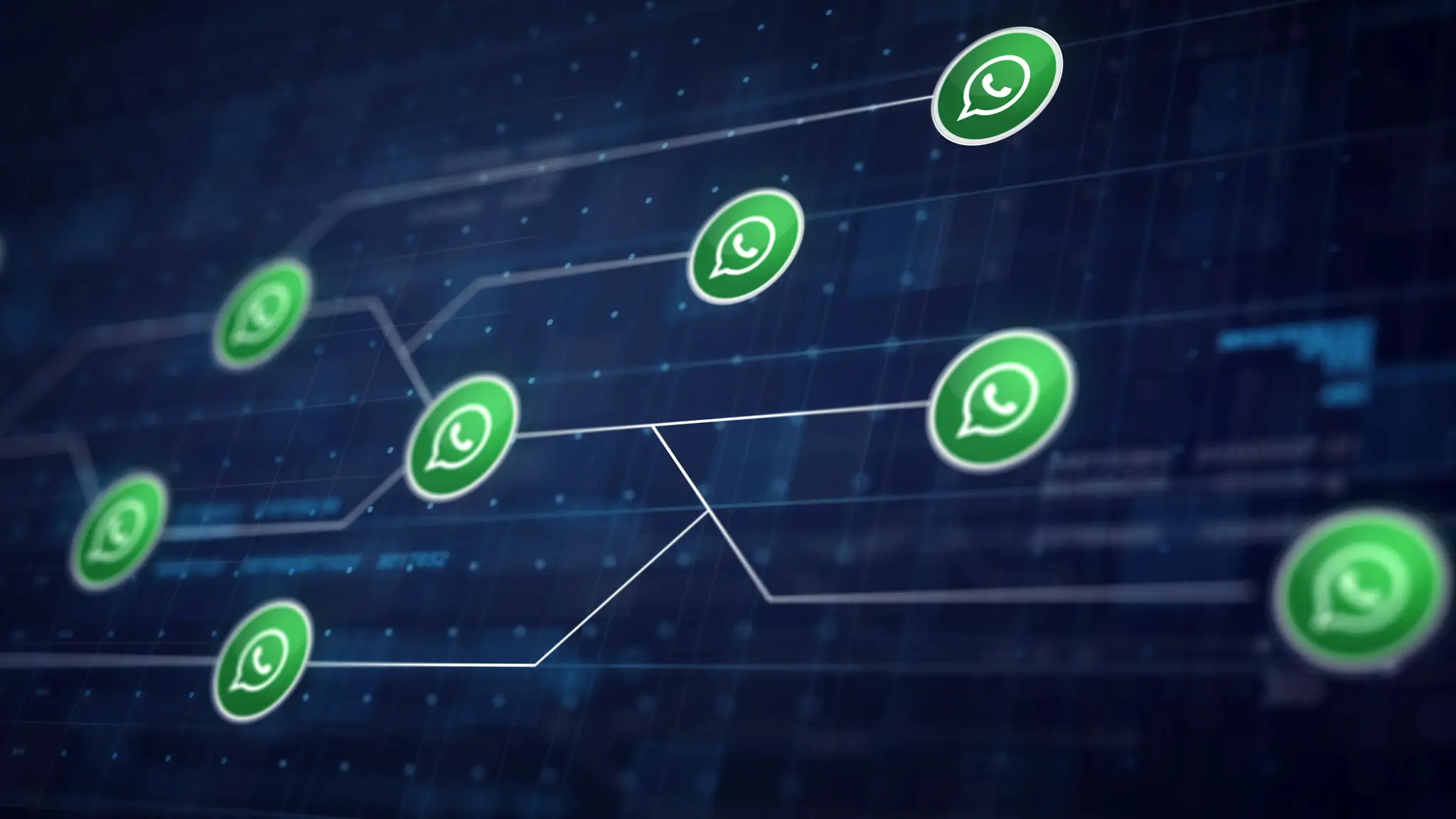Harga WhatsApp Business - Everpro Chat